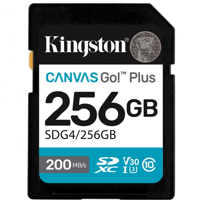 Флеш (Flash) карты Kingston Canvas Go Plus Gen4 C10 SDG4/256GB 256 ГБ