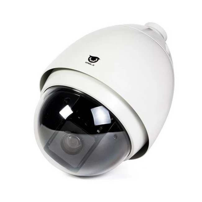 Аналоговая видеокамера EAGLE EGL-ASP550