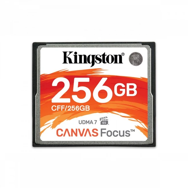 Флеш (Flash) карты Kingston CFF/256GB (256 ГБ)