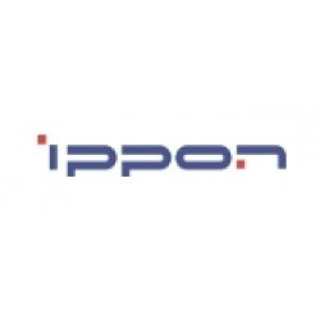 IPPON Источник бесперебойного питания Ippon Innova RT II 1000 900Вт 1000ВА черный i1398359
