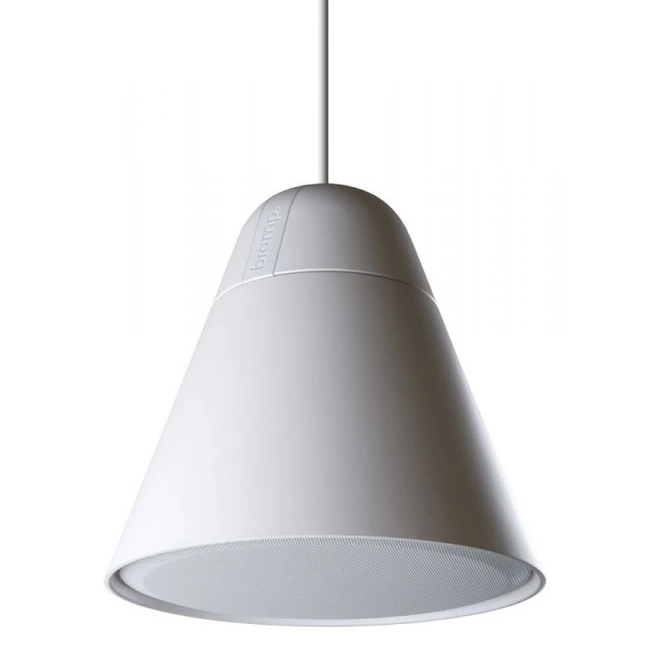 Аксессуар для аудиотехники BIAMP P30DT-W 912.0904.900/911.0904.900