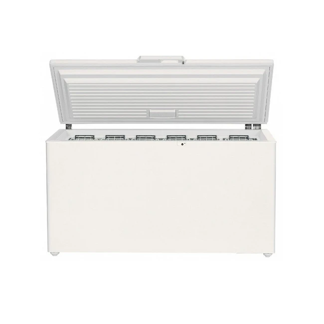 Морозильник Liebherr GTP 4656