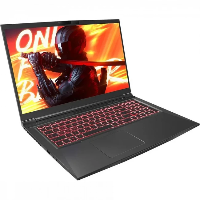 Ноутбук Maibenben X668 X668QSFELBRE0 (17.3 ", WQHD 2560x1440 (16:9), Intel, Core i7, 16 Гб, SSD, 512 ГБ, nVidia GeForce RTX 3070)