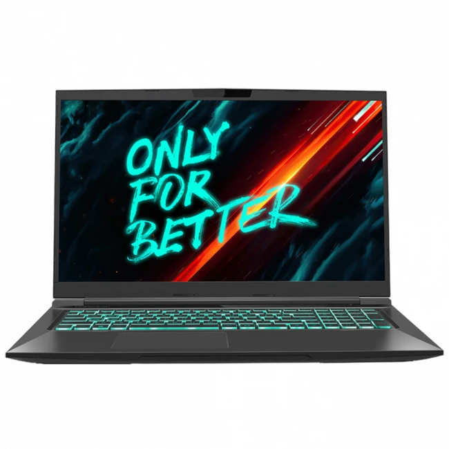 Ноутбук Maibenben X668 X668QSJELBRE0 (17.3 ", WQHD 2560x1440 (16:9), Intel, Core i7, 8 Гб, SSD, 1 ТБ, nVidia GeForce RTX 3070)