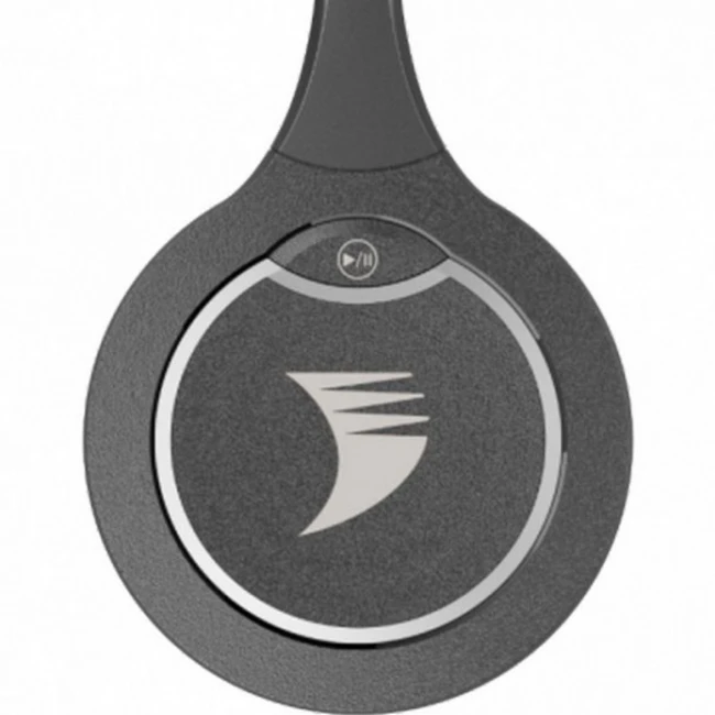 Опция для Видеоконференций WYRESTORM APO-DG1