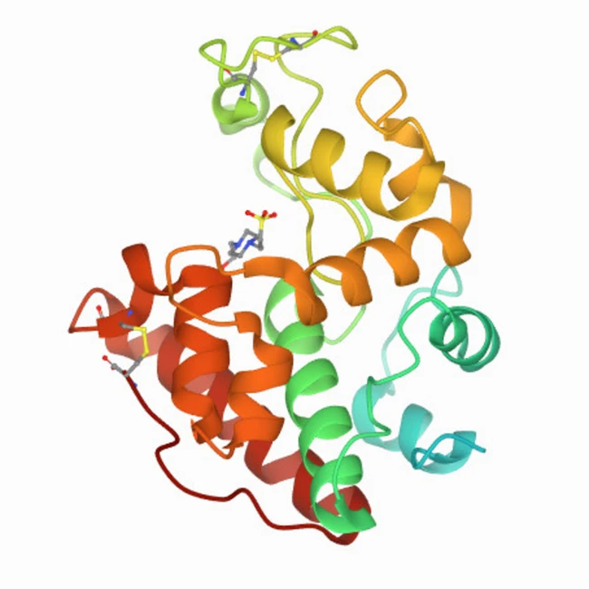 Аксессуар для штрихкодирования ШТРИХ-М 2DBT